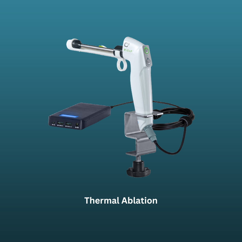 Thermal Ablation System